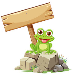 Cheerful Frog Sitting On A Rock Blank Sign Above