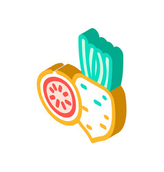 Watermelon Radish Isometric Icon