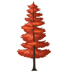 Graphic Of A Red Pine Tree In Autumn