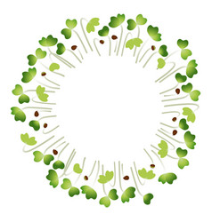 Microgreens Pak Choi Arranged In A Circle White