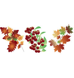 Autumn Branch Trees Mix Set - Maple Oak Rowan