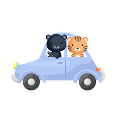 Cute Little Tiger And Panther Driving Blue Car