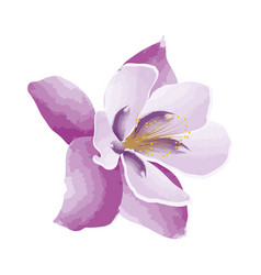 Lilac Watercolour Exotic Flower