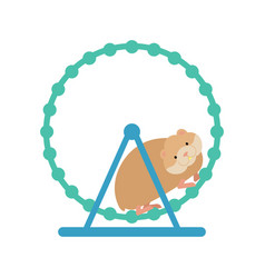 Hamster In Wheel Cute Pet On White Background