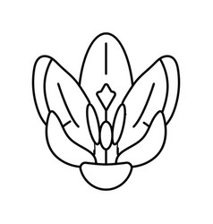 Crocus Flower Spring Line Icon