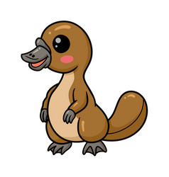 Cute Baby Platypus Cartoon Standing