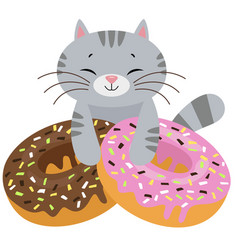 Funny Cat With Strawberry And Chocolate Donuts