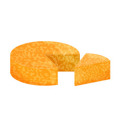 Composition Colby Jack Cheese Cut Triangle Slice