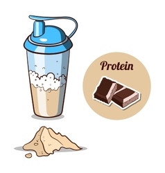 Shaker Chocolate Protein Powder