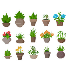 Potted Plant Set