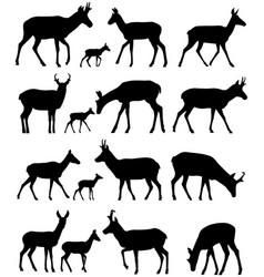 Pronghorn Silhouettes