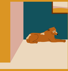 Dog Lying On Floor In Corner Room