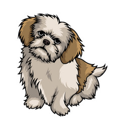 Shih Tzu Dog Mascot Cartoon