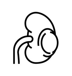 Renal Cyst Line Icon