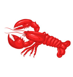 Lobster Isolated On A White Background