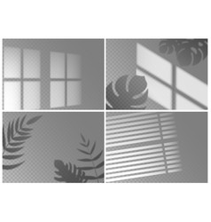 Realistic Shadow Overlay Window Light