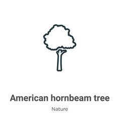 American Hornbeam Tree Outline Icon Thin Line