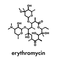 Erythromycin Antibiotic Drug Macrolide Class