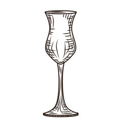 Empty Glass Pisco Engraved Style Isolated