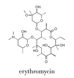 Erythromycin Antibiotic Drug Macrolide Class