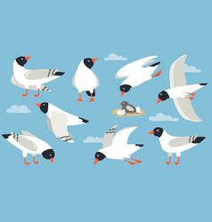 Atlantic Gull Set