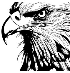 Hand Sketch Eagle Head