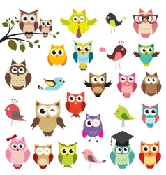 Owl fat Royalty Free Vector Image - VectorStock