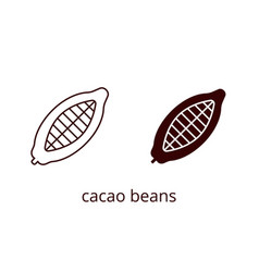 Cacao Beans Icon