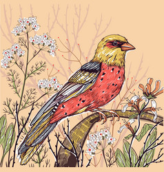 Floral Of A Goldfinch And Blooming Summer Herbs