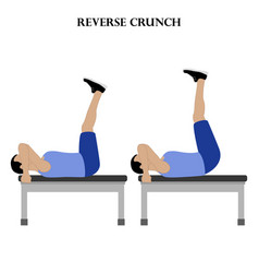 Reverse Crunch Exercise Strength Workout