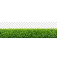 Grass Border With Transparent Background