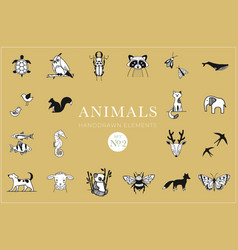 Animals Handdrawn Elements Animal