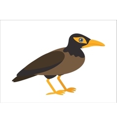 Ommon Myna