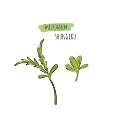 Hand Drawn Shungiku Micro Greens