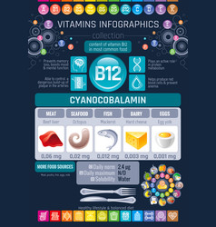 Cyanocobalamin Vitamin B12 Rich Food Icons