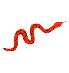 Flat Red Snake