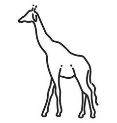 Giraffe Line Icon Exotic Safari Wild Animal