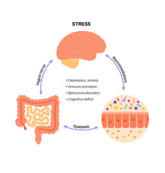 Gut Brain Connection