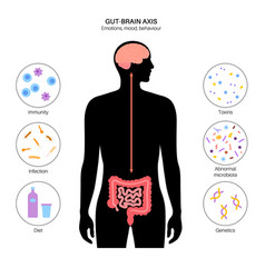 Gut Brain Connection