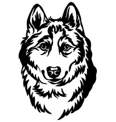 Syberian Husky Dog Black Contour Portrait