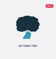 Two Color Butternut Tree Icon From Nature Concept