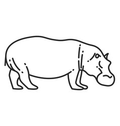 Hippo Line Icon Safari Animal African Fauna