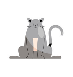 Cute Gray Cat Seated