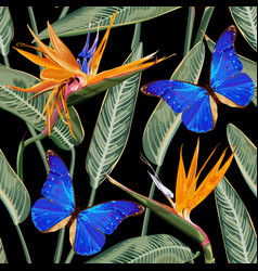 Seamless Tropical Pattern With Blue Butterfly