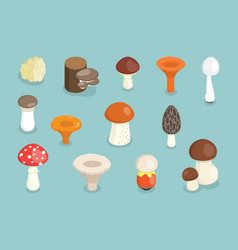 3d Isometric Flat Set Of Mushrooms