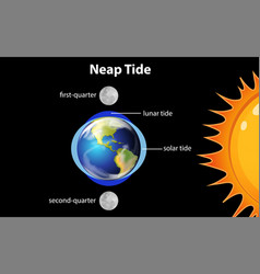 Diagram Showing Neap Tides