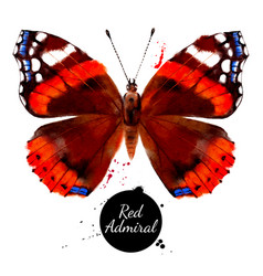 Watercolor Butterfly Red Admiral Vanessa