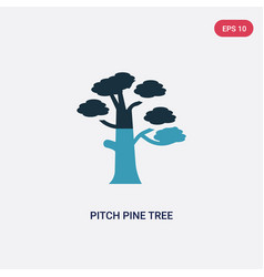 Two Color Pitch Pine Tree Icon From Nature