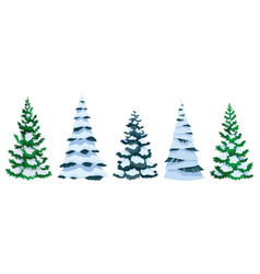 Fir Trees With Snow Collection Winter Snow