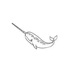 Narwhal Isolated Coloring Page For Kids